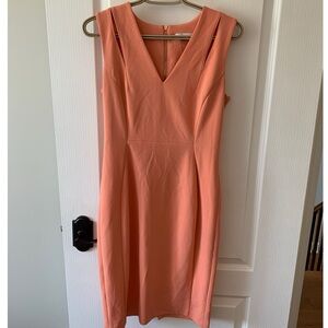 Calvin Klein Dress (NWOT)